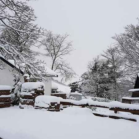 Villa Winterberg Mollseifen Екстериор снимка